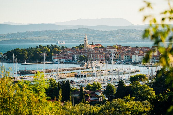 Scopri la linea costiera slovena con degustazione di vini da Trieste