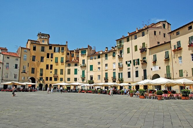 Tour privato di un giorno a Pisa e Lucca dal porto di Livorno