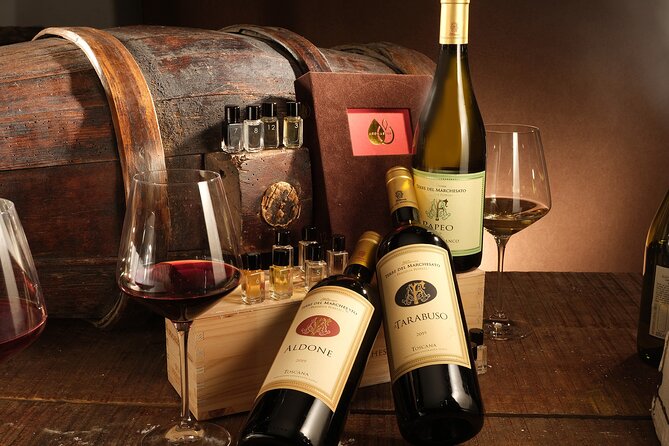 Bolgheri : Degustazione sensoriale di vini con tour in cantina