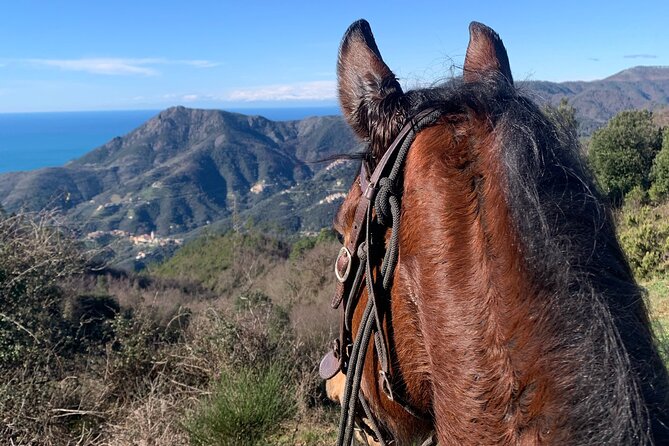 Giro a Cavallo sul Litorale di Monterosso al Mare Cinque Terre