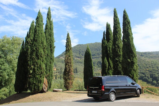 Degustazione in un Vigneto Toscano con trasferimento da Lucca