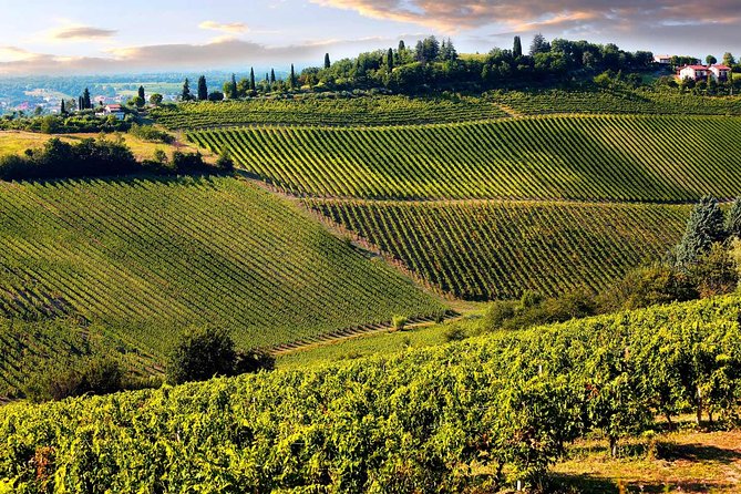 Tour del vino del Chianti di mezza giornata nelle colline toscane Piccolo gruppo da Lucca