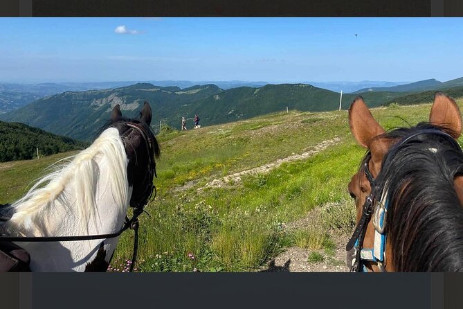 Passeggiata a cavallo sulle colline toscane