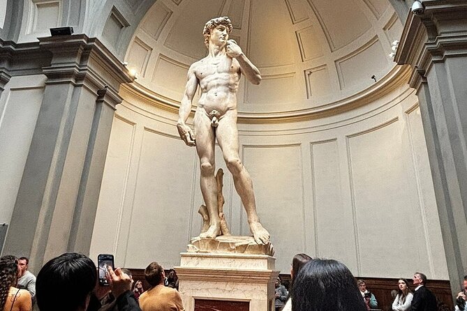 Biglietto d'ingresso a orario per la Galleria dell'Accademia di Firenze per vedere il David