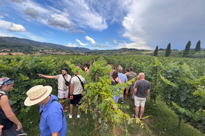 Esperienza di degustazione di vini per piccoli gruppi nella campagna toscana