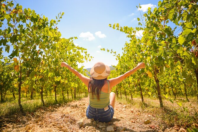 Mezza giornata Chianti Vineyard Fuga da Firenze con Degustazioni di Vini