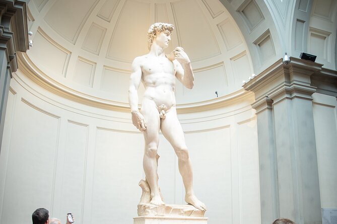 Tour della Galleria dell'Accademia di Firenze con biglietto d'ingresso incluso