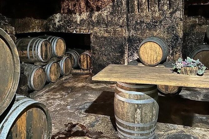 Visita alla cantina storica con degustazione di cibo e vino a Marsala