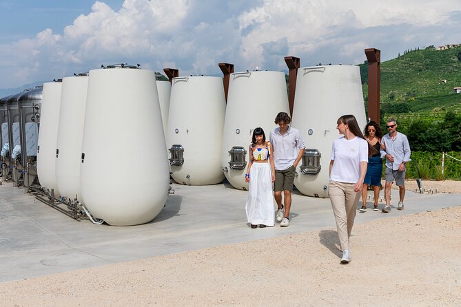 Degustazione 4 Prosecco Cartizze, snacks, tour cantina e vigneto