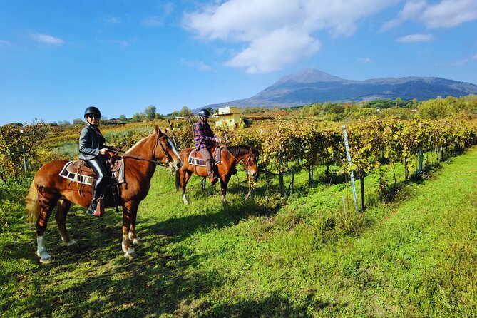 Passeggiata a cavallo sul Vesuvio con degustazione di vini e cena