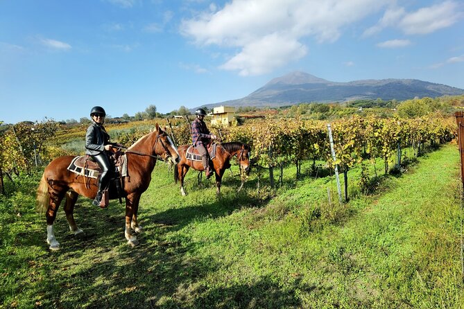 A cavallo sul Vesuvio