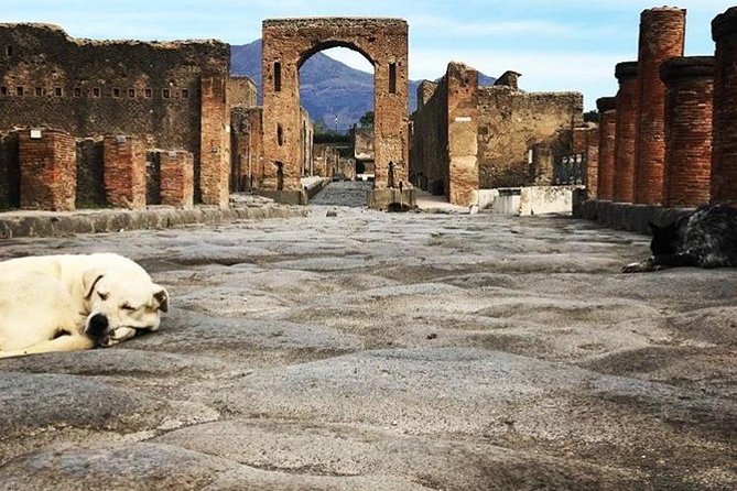 Tour privato di Pompei con guida esperta