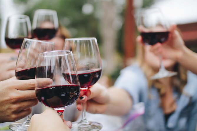 Esperienza enologica nelle colline del Chianti da Firenze