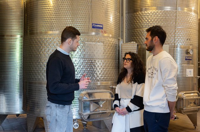 Scopri i vini delle Langhe con tour privato e sommelier esperto
