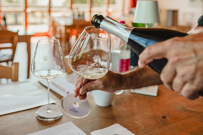 Visita guidata con degustazione di vini a Montalcino