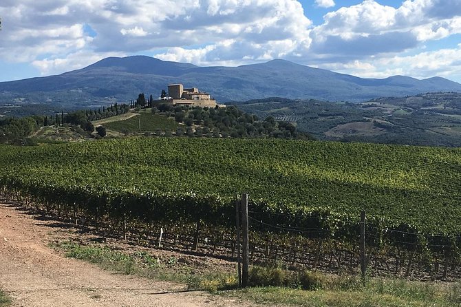 Tour in bici elettrica del Brunello