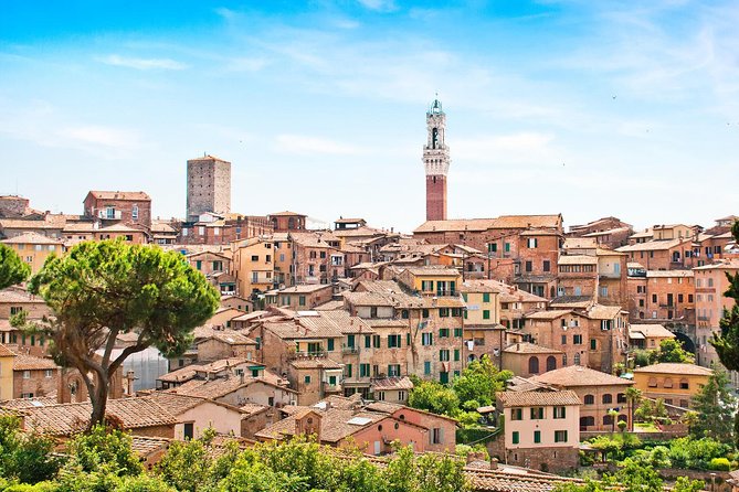 Da Pisa o Lucca: tour per piccoli gruppi a Siena e San Gimignano