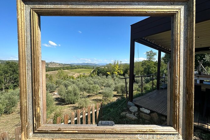 Scuola di Assaggio Olio Evo, camminata nell'oliveta e pranzo