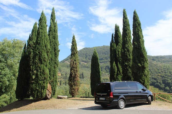 Degustazione in un Vigneto Toscano con trasferimento da Pisa