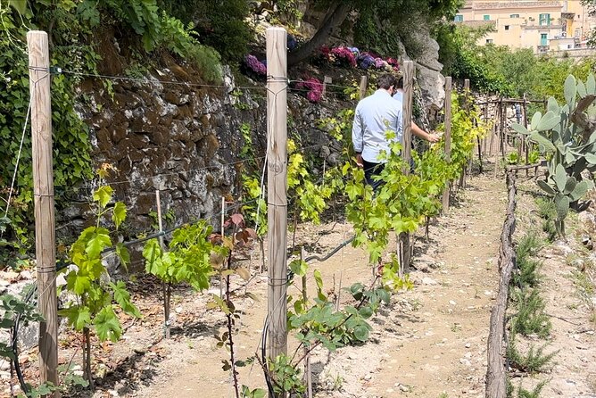 Tour nei profumi inebrianti del nostro giardino a Ragusa