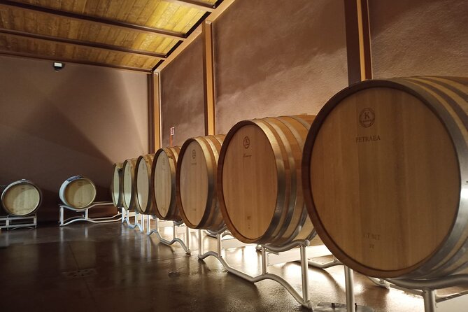 Vini di Volterra, emozioni sensoriali di agricoltura biologica