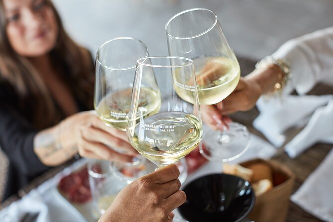 Wine Tour e Degustazione dei Vini Lugana vicino Sirmione
