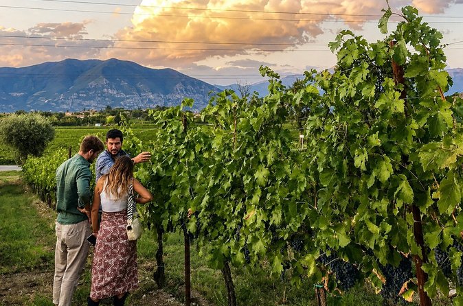 Degustazione con visita in cantina nel cuore della Franciacorta