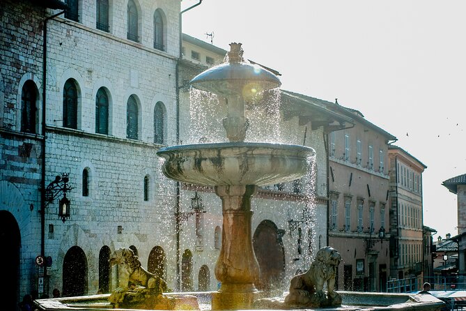 Tour privato a piedi della Basilica di San Francesco di Assisi e della città
