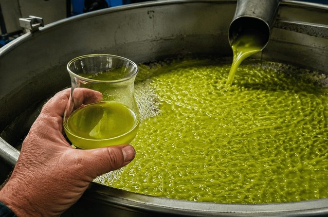 Tour dell'Olio Extravergine di Oliva in Toscana