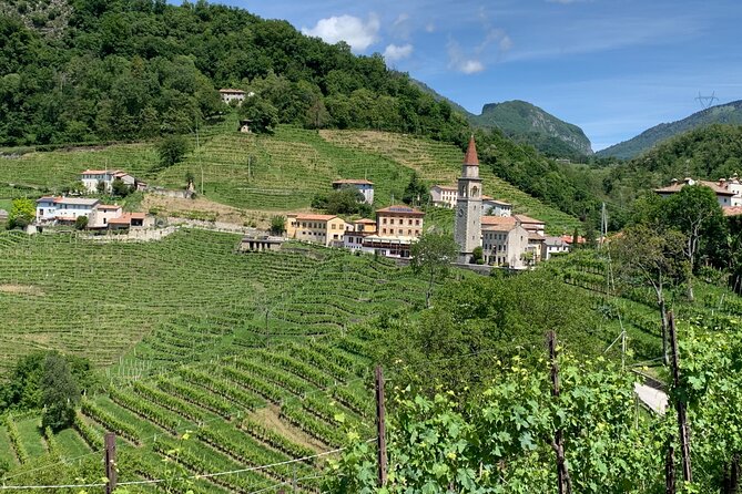 Una giornata frizzante sulle colline del Prosecco da Venezia