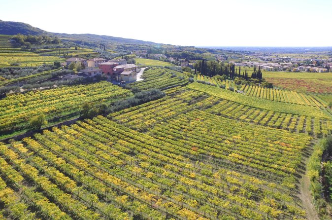 Amarone Della Valpolicella Wine Experience - Incontra la famiglia Vogadori