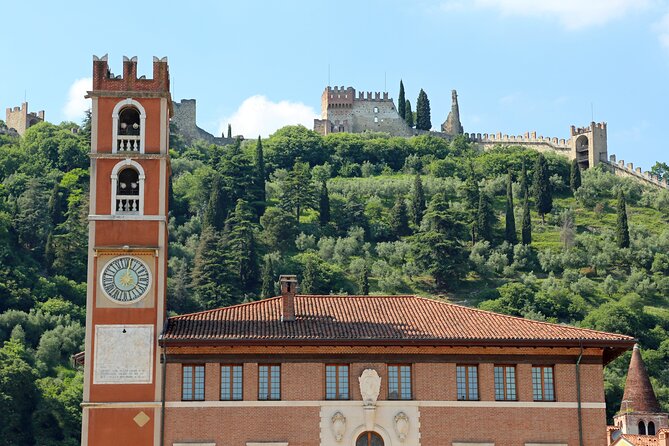 Punti salienti della città di Vicenza Tour privato a piedi con guida locale