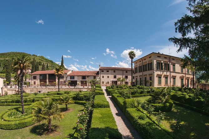 Amarone, il grande rosso svelato
