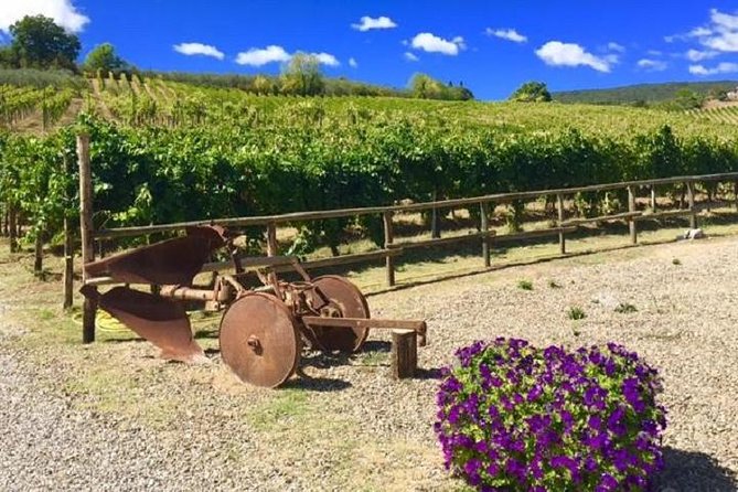 Tour per piccoli gruppi di mezza giornata del vino Chianti e Vinci da Montecatini Terme