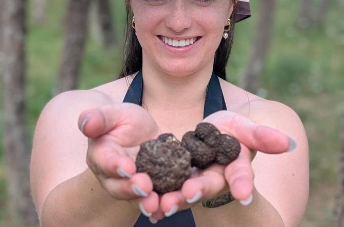 Caccia al tartufo con degustazione nel bosco
