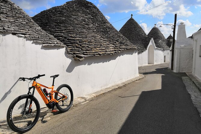 E-bike Guided tour Locorotondo and Alberobello, wine in vineyard