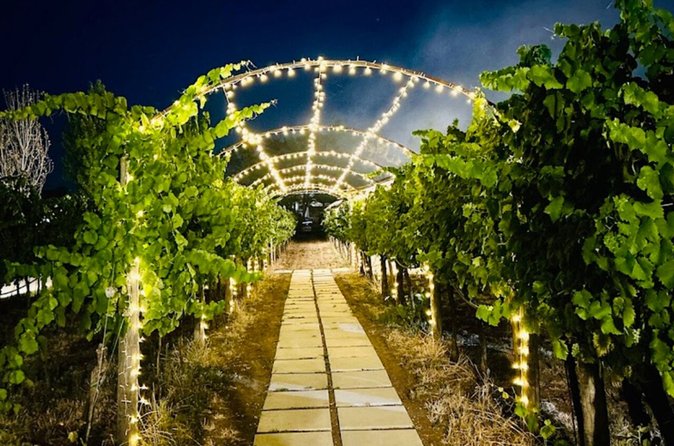 Degustazione Vini e Visita Guidata in Vigna e Cantina a S. Maria Imbaro