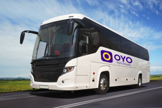 Trasferimento in autobus da Civitavecchia a Aeroporto Roma