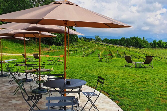 Unconventional Prosecco Tasting with Stunning View on Vineyards