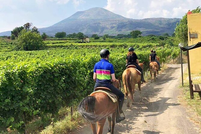 Tour guidato di Pompei e passeggiate a cavallo sul Vesuvio con pranzo