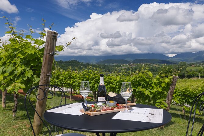 Tour e degustazione nelle colline del Prosecco Superiore DOCG