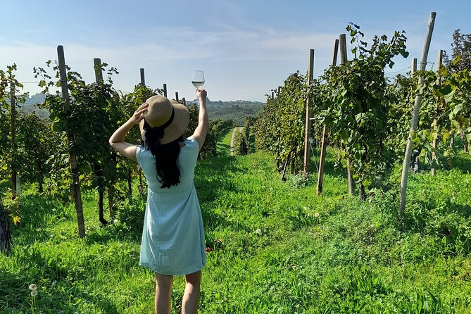 Tour del Prosecco di mezza giornata All Inclusive da Conegliano