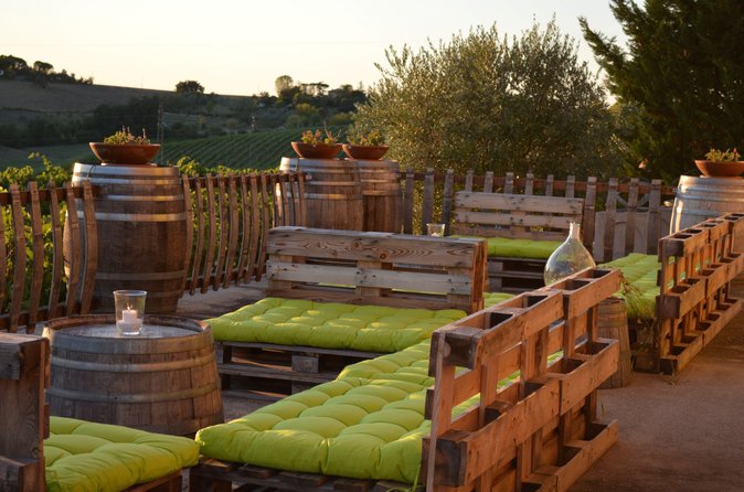 Degustazione di Vino Biologico e Cibo Locale con Vista vicino Rimini