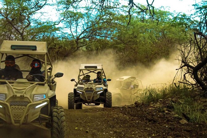 Tour Escursione in Quad Buggy