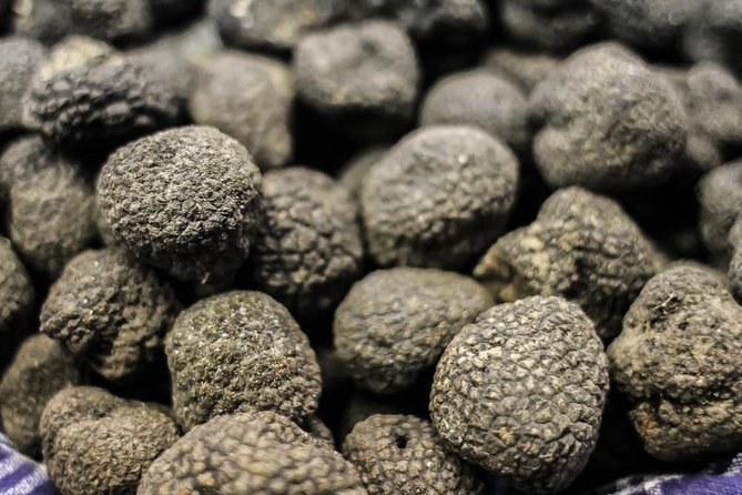 Caccia privata al Tartufo nel Chianti