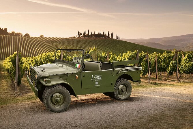 Tour in jeep della vecchia vigna toscana, degustazione di vini e pranzo