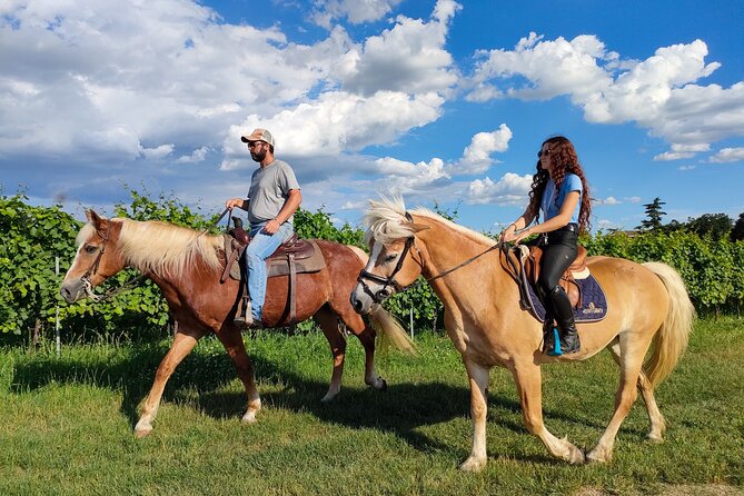 2 ore Passeggiata a cavallo nella campagna del Lago di Garda
