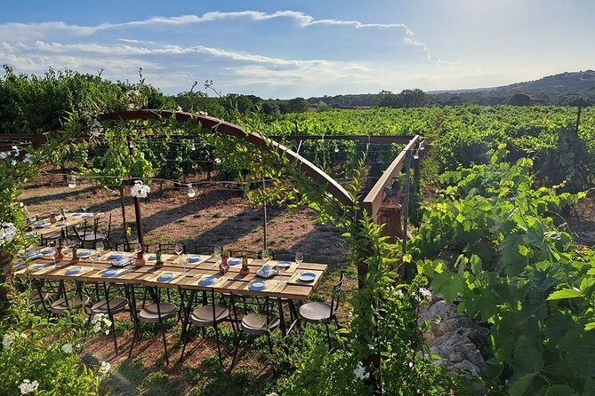 Passeggiata in vigna e degustazione di vini