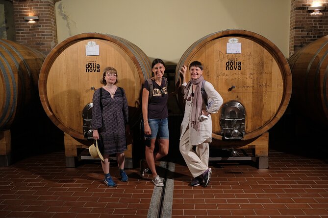 TOUR DEL VINO con sommelier in una cantina vicino Cagliari