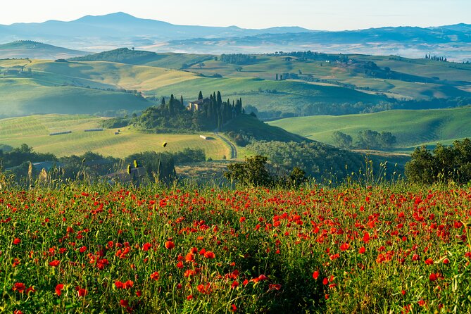 Roma: gita di un giorno in Toscana e a Montepulciano con pranzo e degustazione di vini